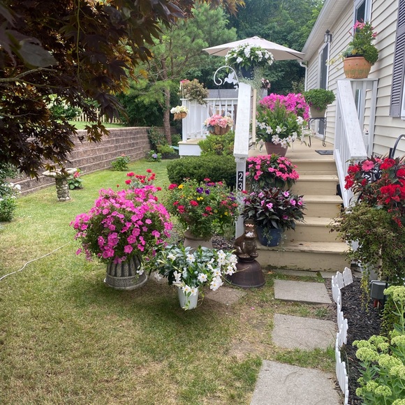 Womens Jewelry and Accessories Boutique - Picture 16 of 16